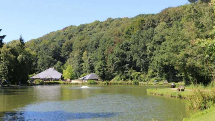 Top 7 mooiste plekken in België om te picknicken in de natuur - Weekendesk
