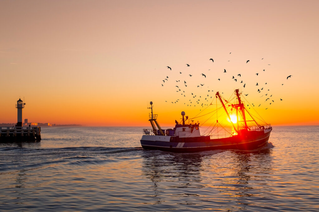 Top 5 mooiste plekjes om naar de zonsondergang te kijken