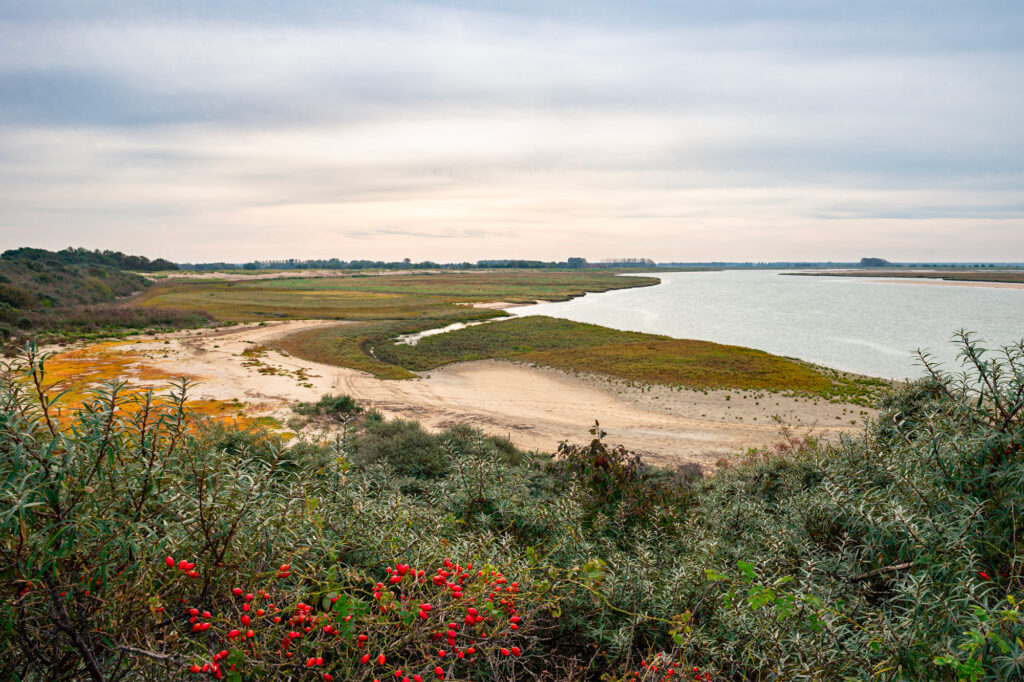 Top 5 nationale parken en natuurdomeinen in en vlak bij België