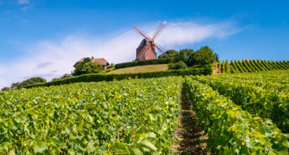 Wat te doen in de Champagnestreek: de leukste activiteiten